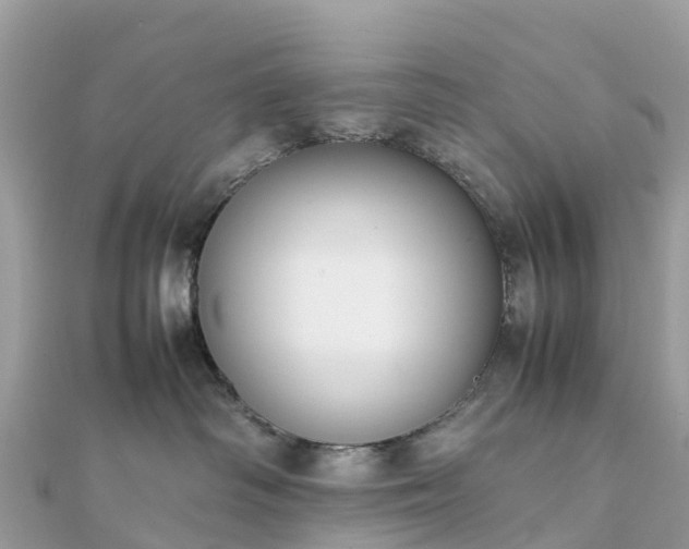 X0000111850334200907301115