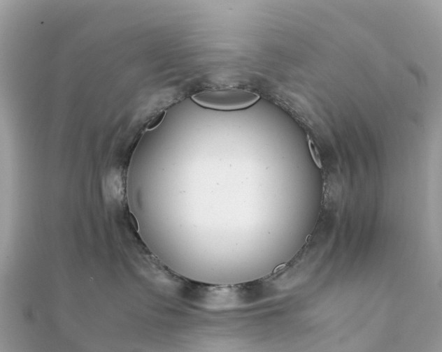 X0000111850335200907301115