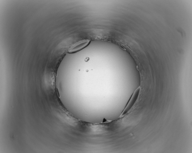 X0000111850336200907301115