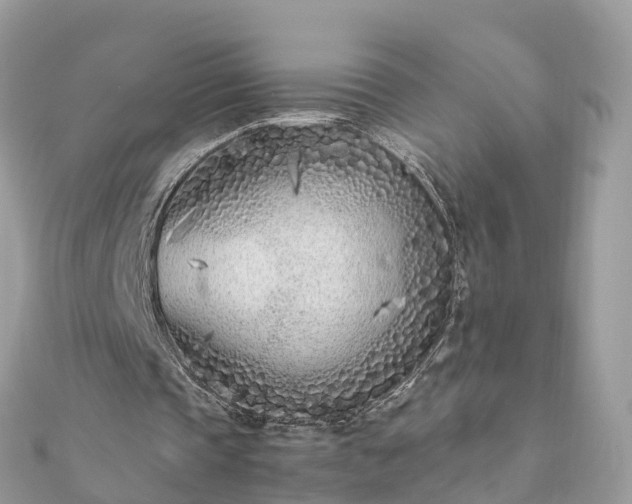 X0000111850337200907301115