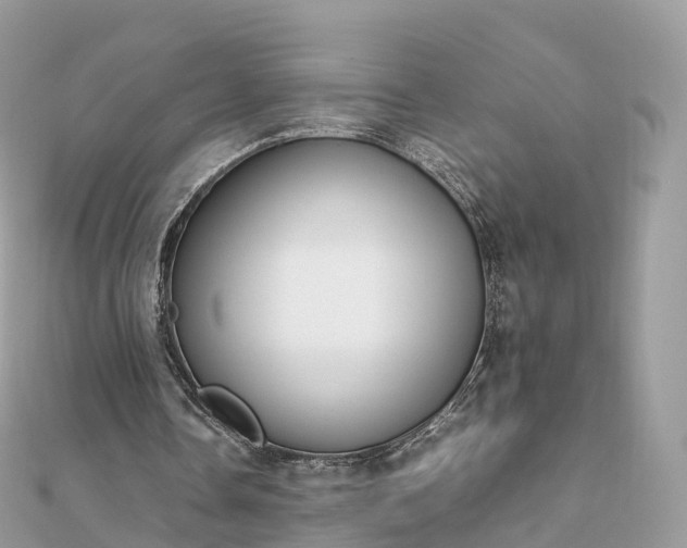 X0000111850338200907301115