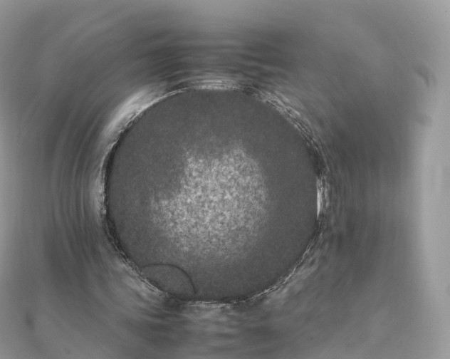 X0000111850339200907301115