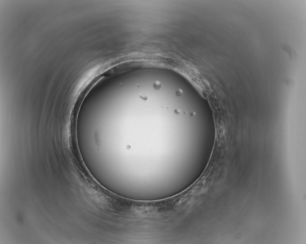 X0000111850340200907301115