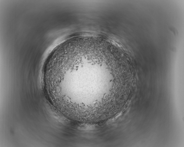 X0000111850343200907301115