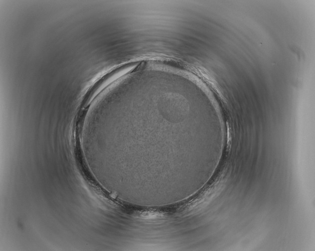 X0000111850348200907301115