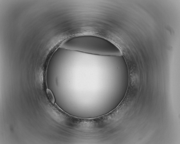 X0000111850350200907301115