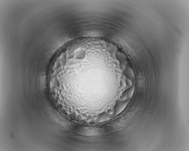 X0000111850351200907301115