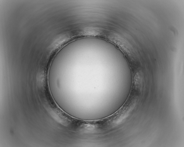 X0000111850352200907301115