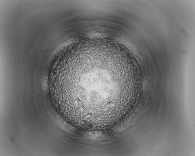 X0000111850353200907301115