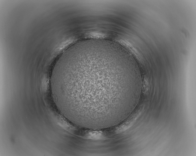 X0000111850355200907301115