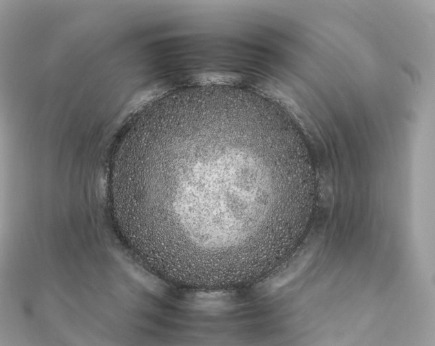 X0000111850357200907301115