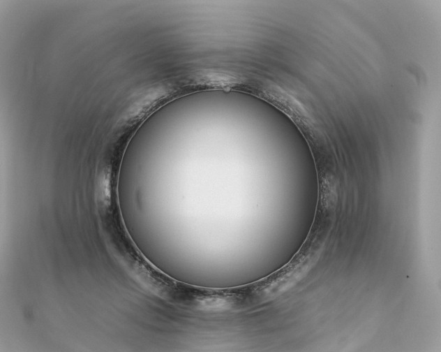 X0000111850358200907301115