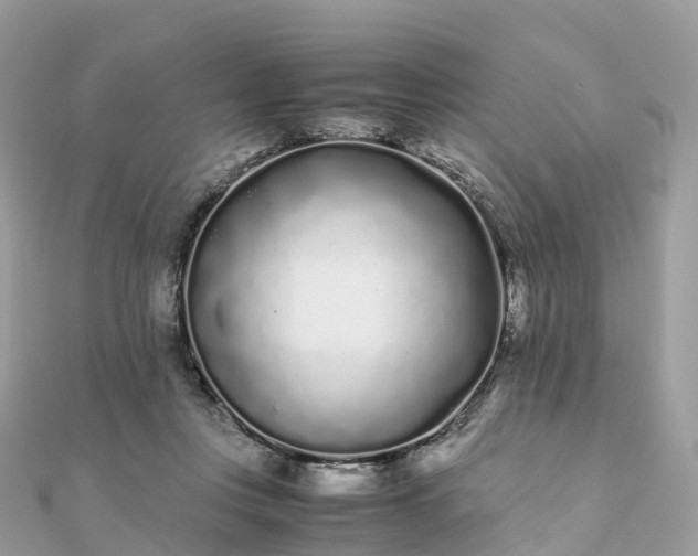 X0000111850359200907301115