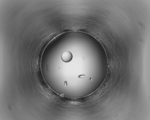 X0000111850360200907301115