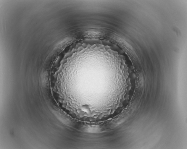 X0000111850361200907301115