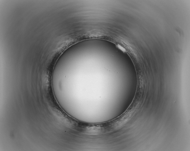 X0000111850362200907301115