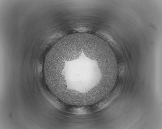 X0000111850365200907301115