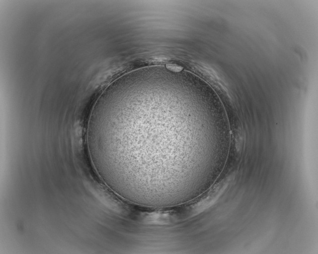 X0000111850366200907301115