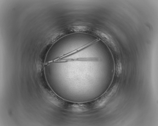 X0000111850367200907301115
