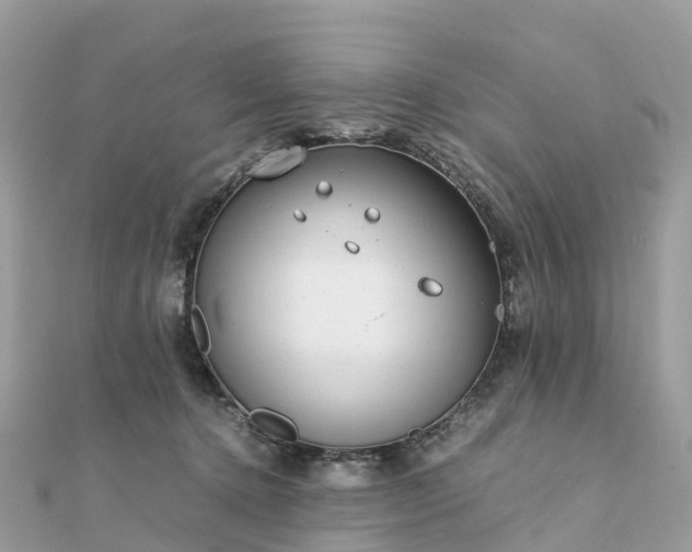 X0000111850368200907301115