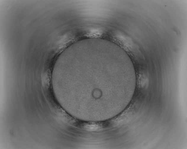 X0000111850370200907301115