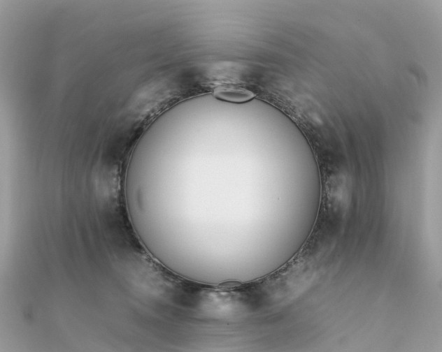 X0000111850372200907301115