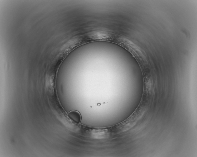 X0000111850373200907301115