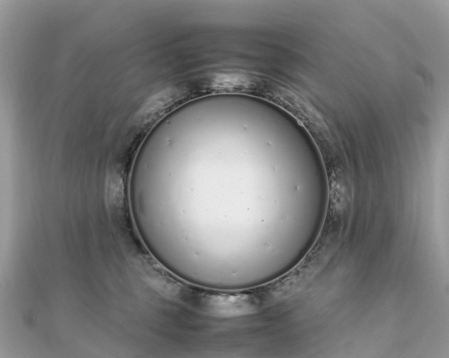 X0000111850375200907301115