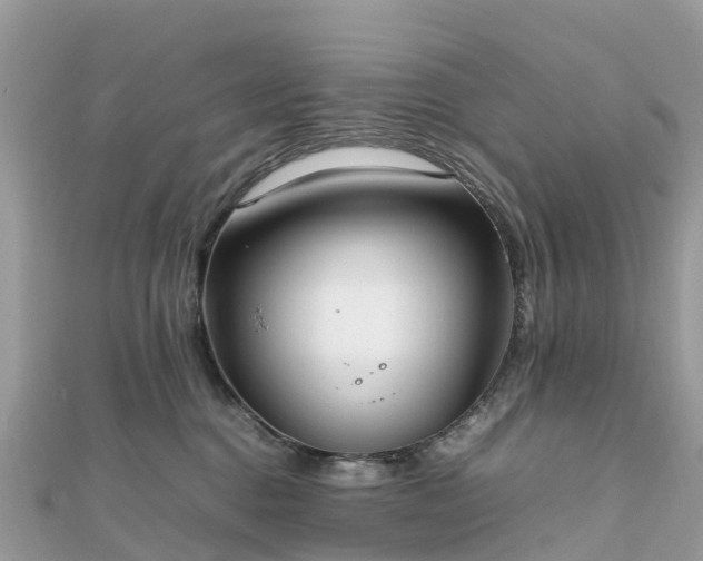 X0000111850376200907301115