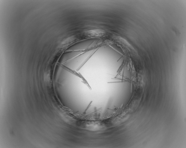 X0000111850377200907301115