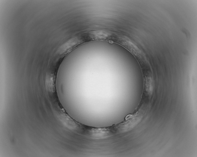 X0000111850378200907301115