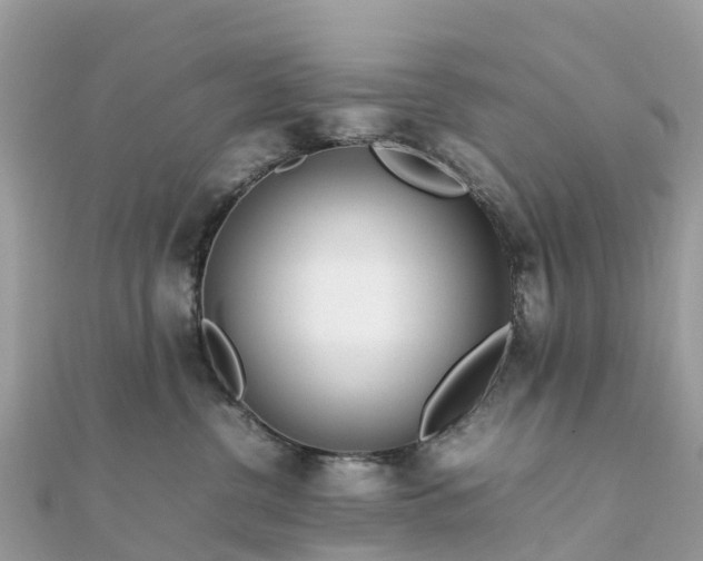 X0000111850380200907301115