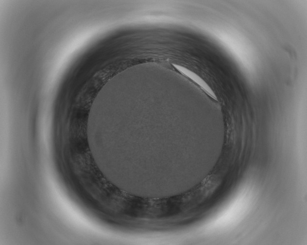 X0000111850383200907301115