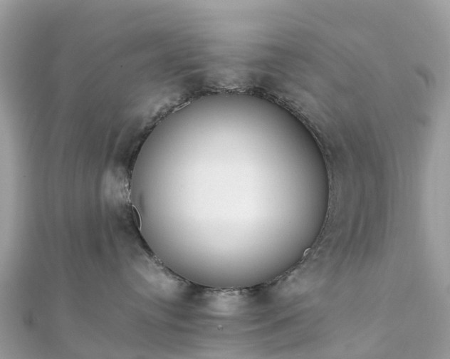 X0000111850384200907301115