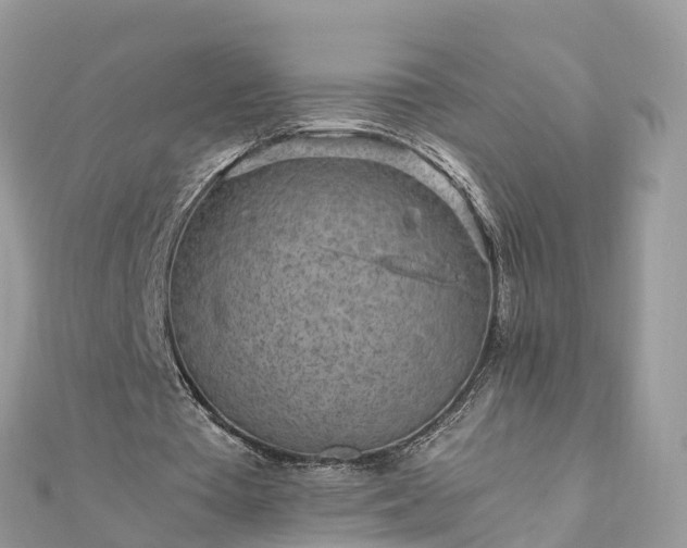 X0000111850385200907301115