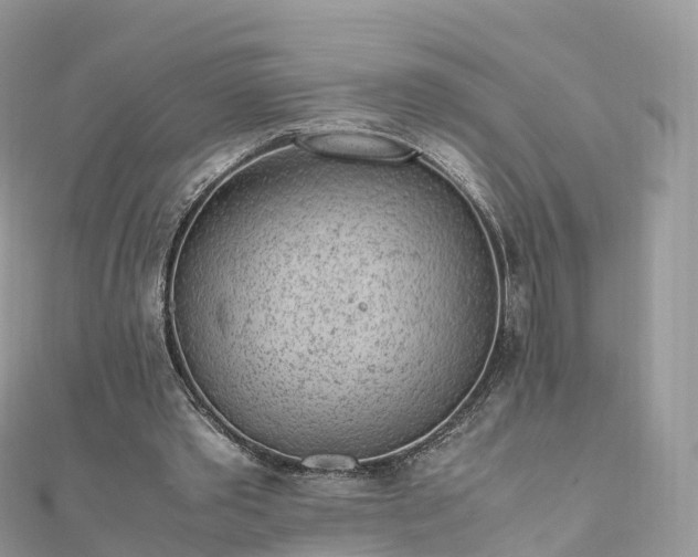 X0000111850389200907301115