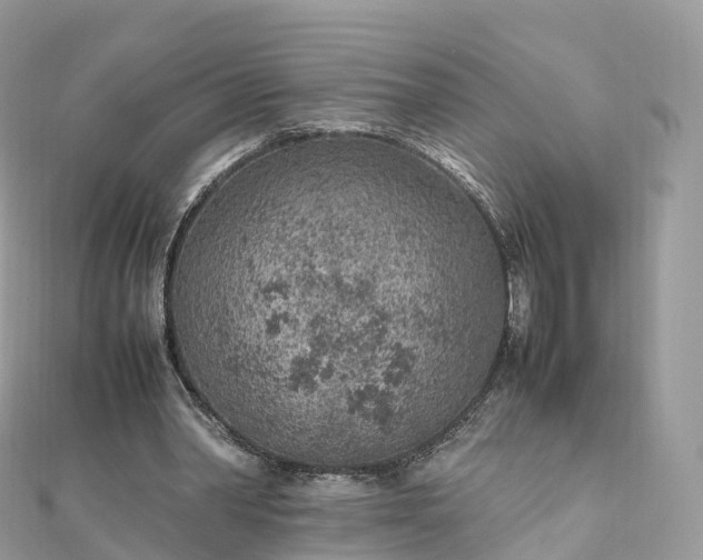 X0000111850390200907301115