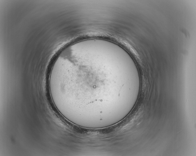 X0000111850391200907301115