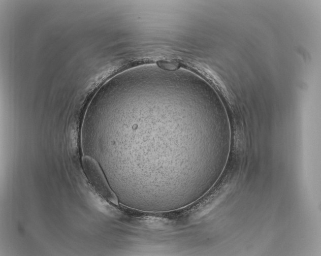 X0000111850393200907301115