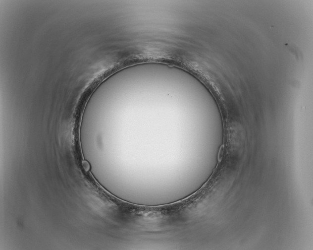 X0000111850395200907301115