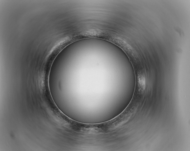 X0000111850396200907301115