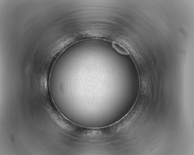 X0000111850398200907301115