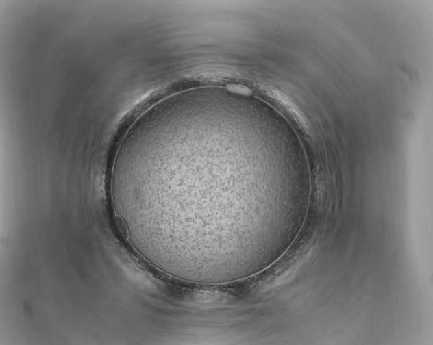 X0000111850399200907301115