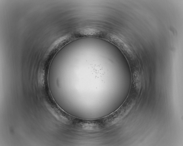 X0000111850400200907301115