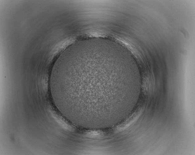 X0000111850402200907301115