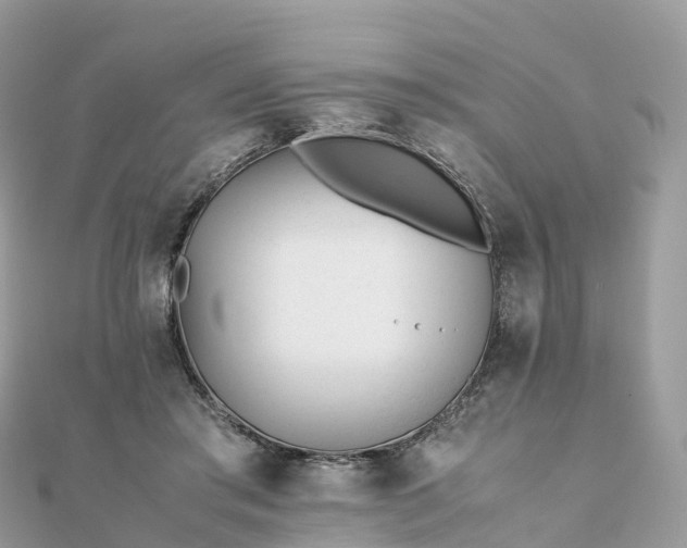 X0000111850405200907301115