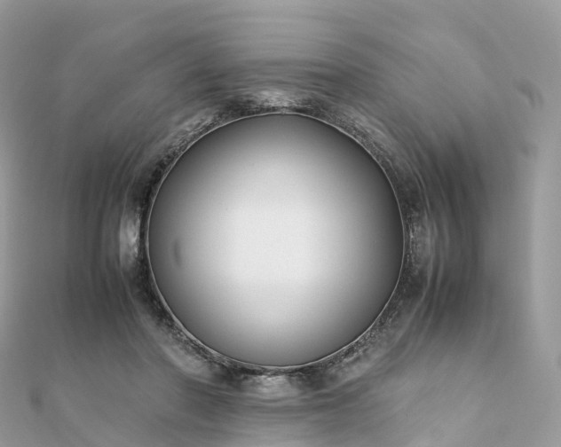 X0000111850406200907301115