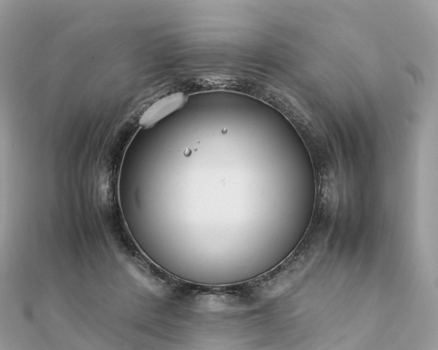 X0000111850408200907301114