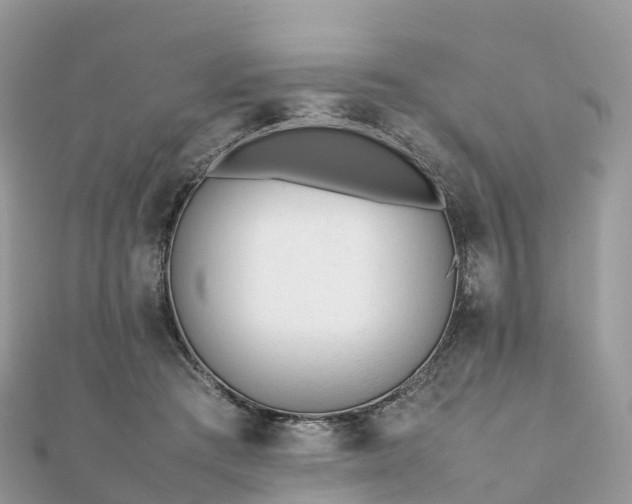 X0000111850409200907301114