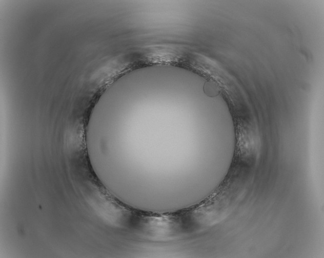X0000111850411200907301114
